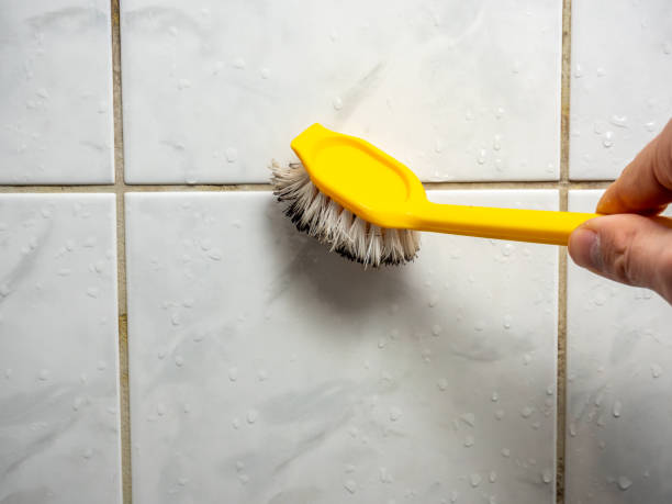 Best Certified Mold Removal  in Moundsville, WV