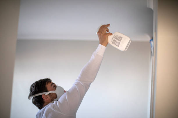 Attic Mold Removal in Moundsville, WV